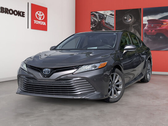 Toyota Camry Hybride 2020 2020 Gris