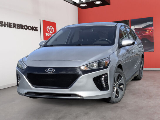 2017 Hyundai Ioniq Electric 2017 Silver