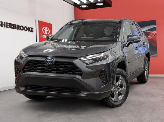 Toyota RAV4 Hybride 2023 2023 Gris