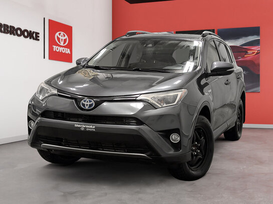 2017 Toyota RAV4 Hybrid 2017 Grey