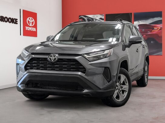 Toyota RAV4 2022 2022 Gris
