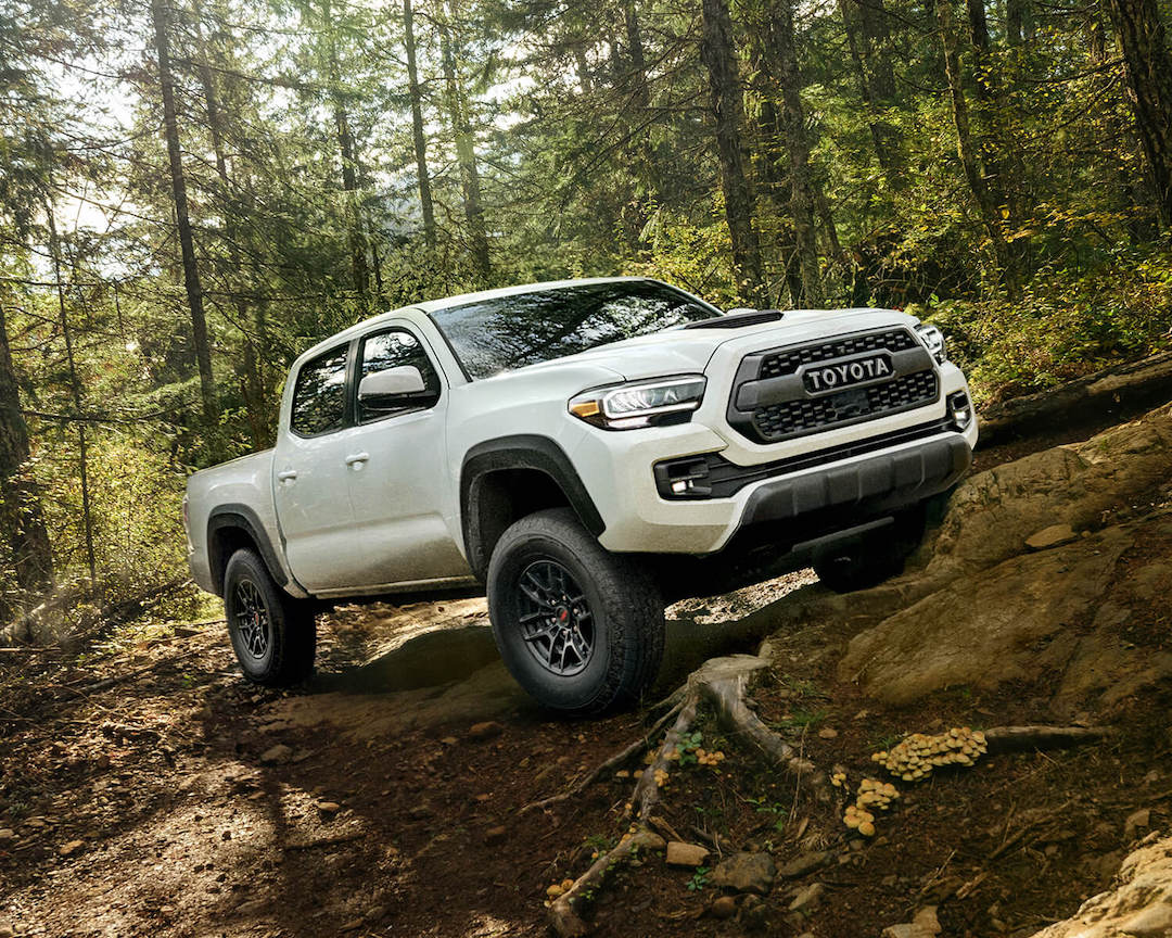 The power of the Toyota Tacoma TRD 2022 up a hill